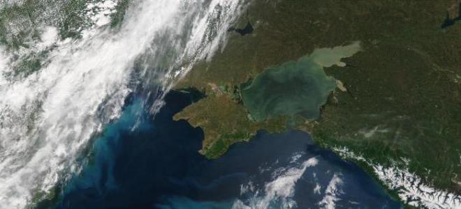 В Чёрном море сероводород: причины взрыва и последствия
