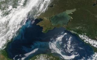 В Чёрном море сероводород: причины взрыва и последствия